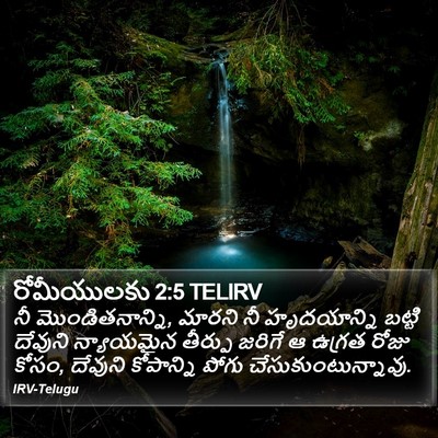 రోమీయులకు 2:5 TELIRV Bible Verse Image