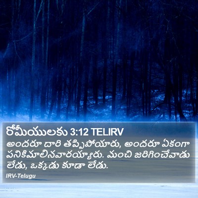 రోమీయులకు 3:12 TELIRV Bible Verse Image
