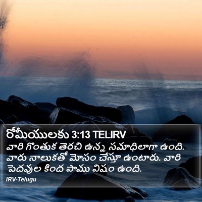 రోమీయులకు 3:13 TELIRV Bible Verse Image