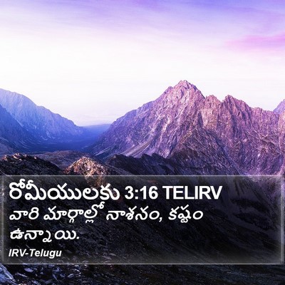 రోమీయులకు 3:16 TELIRV Bible Verse Image