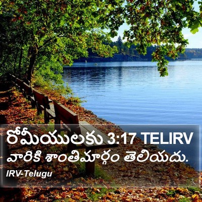 రోమీయులకు 3:17 TELIRV Bible Verse Image