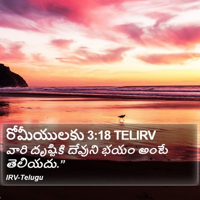 రోమీయులకు 3:18 TELIRV Bible Verse Image
