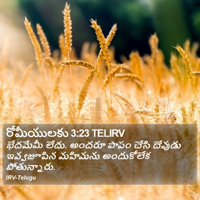 రోమీయులకు 3:23 TELIRV Bible Verse Image