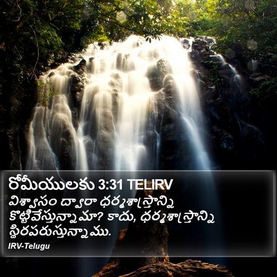 రోమీయులకు 3:31 TELIRV Bible Verse Image