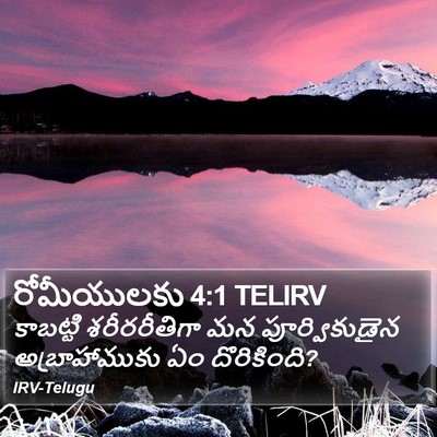 రోమీయులకు 4:1 TELIRV Bible Verse Image