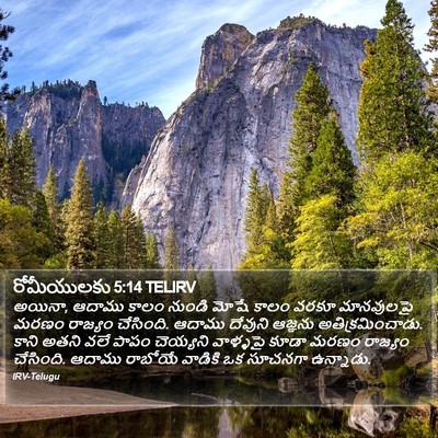రోమీయులకు 5:14 TELIRV Bible Verse Image