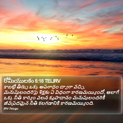 రోమీయులకు 5:18 TELIRV Bible Verse Image