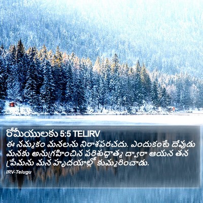 రోమీయులకు 5:5 TELIRV Bible Verse Image