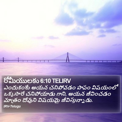 రోమీయులకు 6:10 TELIRV Bible Verse Image