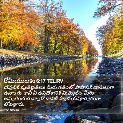రోమీయులకు 6:17 TELIRV Bible Verse Image
