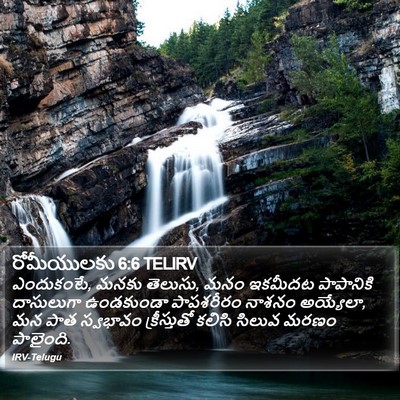 రోమీయులకు 6:6 TELIRV Bible Verse Image