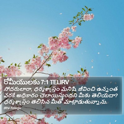 రోమీయులకు 7:1 TELIRV Bible Verse Image