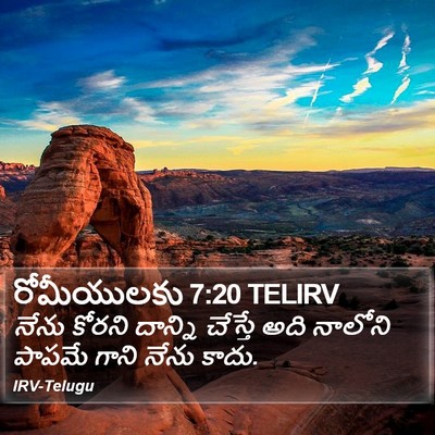 రోమీయులకు 7:20 TELIRV Bible Verse Image