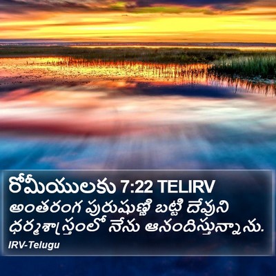 రోమీయులకు 7:22 TELIRV Bible Verse Image