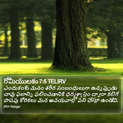 రోమీయులకు 7:5 TELIRV Bible Verse Image