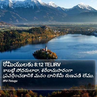 రోమీయులకు 8:12 TELIRV Bible Verse Image