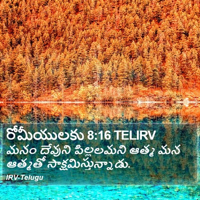 రోమీయులకు 8:16 TELIRV Bible Verse Image