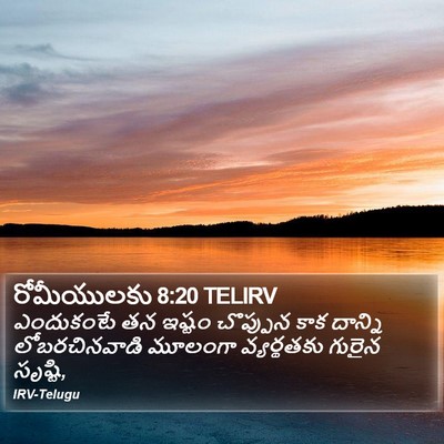 రోమీయులకు 8:20 TELIRV Bible Verse Image