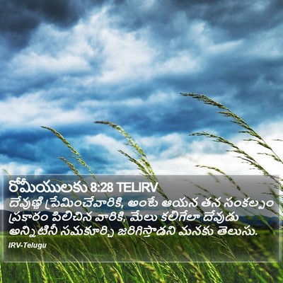 రోమీయులకు 8:28 TELIRV Bible Verse Image