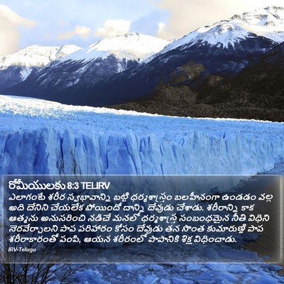 రోమీయులకు 8:3 TELIRV Bible Verse Image