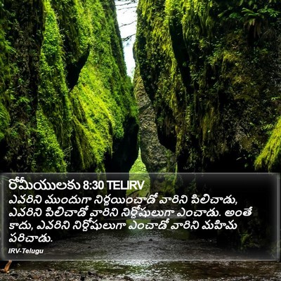 రోమీయులకు 8:30 TELIRV Bible Verse Image