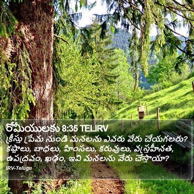 రోమీయులకు 8:35 TELIRV Bible Verse Image