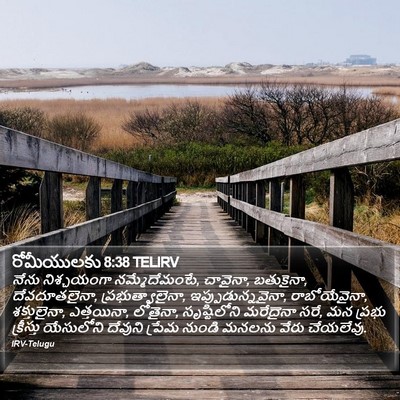 రోమీయులకు 8:38 TELIRV Bible Verse Image