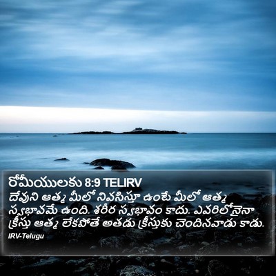 రోమీయులకు 8:9 TELIRV Bible Verse Image