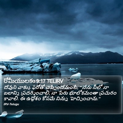 రోమీయులకు 9:17 TELIRV Bible Verse Image