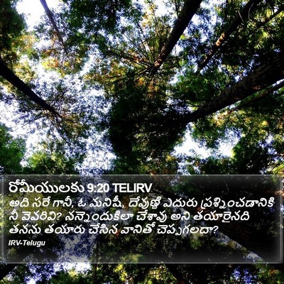 రోమీయులకు 9:20 TELIRV Bible Verse Image