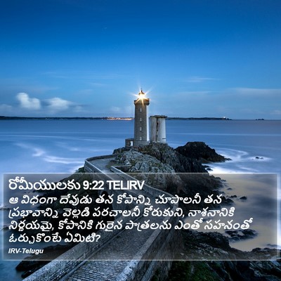 రోమీయులకు 9:22 TELIRV Bible Verse Image