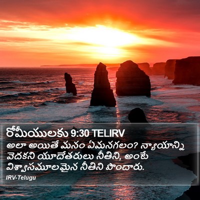 రోమీయులకు 9:30 TELIRV Bible Verse Image