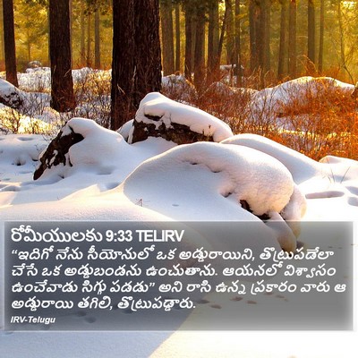 రోమీయులకు 9:33 TELIRV Bible Verse Image