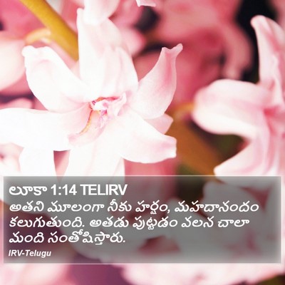 లూకా 1:14 TELIRV Bible Verse Image