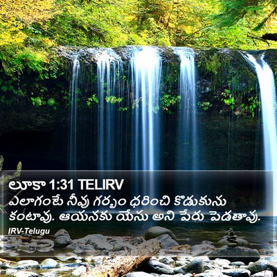 లూకా 1:31 TELIRV Bible Verse Image