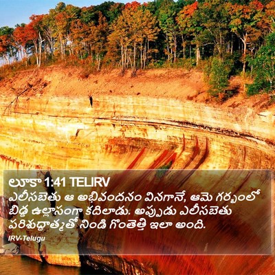 లూకా 1:41 TELIRV Bible Verse Image