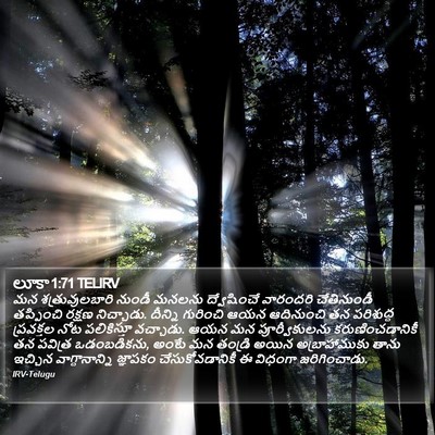 లూకా 1:71 TELIRV Bible Verse Image