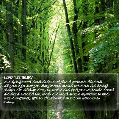 లూకా 1:72 TELIRV Bible Verse Image