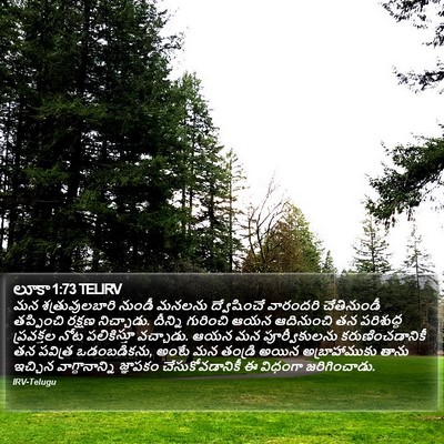 లూకా 1:73 TELIRV Bible Verse Image