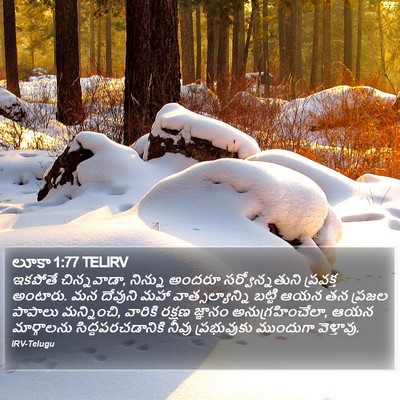 లూకా 1:77 TELIRV Bible Verse Image