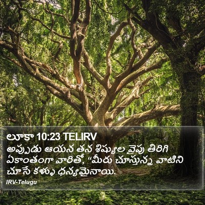 లూకా 10:23 TELIRV Bible Verse Image