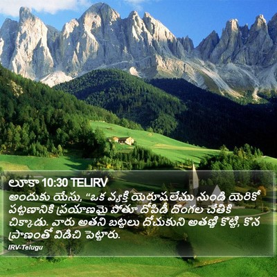 లూకా 10:30 TELIRV Bible Verse Image