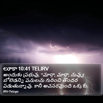 లూకా 10:41 TELIRV Bible Verse Image