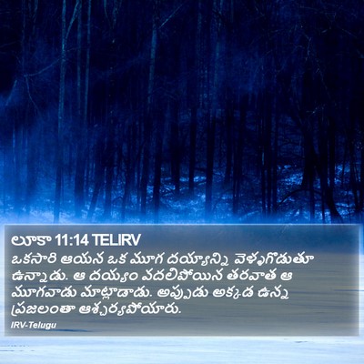 లూకా 11:14 TELIRV Bible Verse Image
