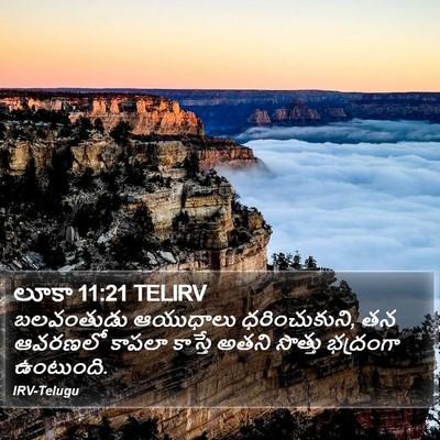 లూకా 11:21 TELIRV Bible Verse Image