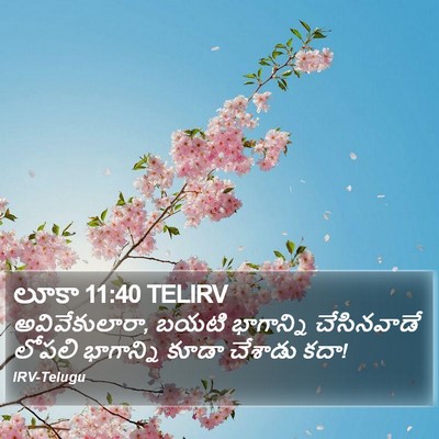 లూకా 11:40 TELIRV Bible Verse Image