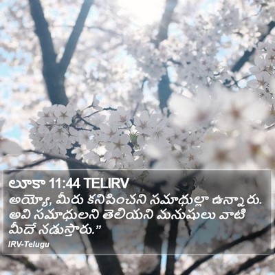 లూకా 11:44 TELIRV Bible Verse Image