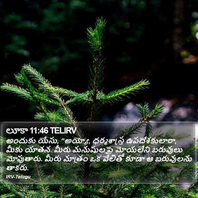 లూకా 11:46 TELIRV Bible Verse Image