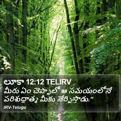 లూకా 12:12 TELIRV Bible Verse Image