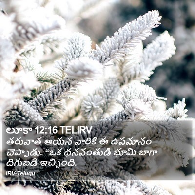లూకా 12:16 TELIRV Bible Verse Image